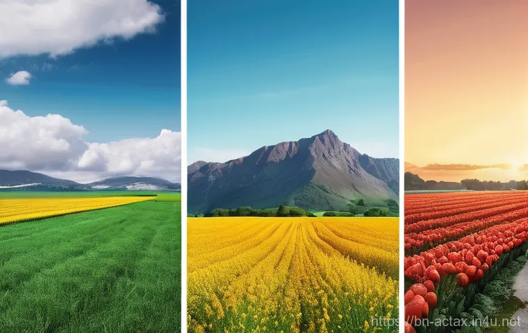 전산세무회계 실무에서 배우는 세법 - Here are three detailed image generation prompts in English, keeping all guidelines in mind: